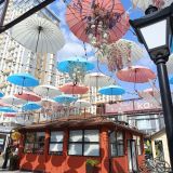 Кубань, фото отдыхающего в июне