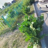 Отель Михеев на Молодежной, фото гостя