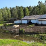 Отель Валдай Эко-клуб, фото гостя