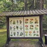 Отель Валдай Эко-клуб, фото гостя