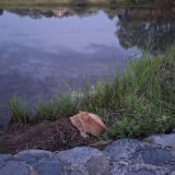 Отель Горное Озеро, фото гостя