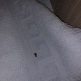 Хостелы Рус Театральная, фото гостя