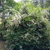 Мини-отель Посейдон, фото гостя