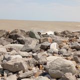 Ейск, фото отдыхающего в июне