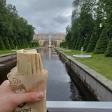 Финский залив, фото отдыхающего в июне