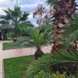 Отель София на Казачьей, фото гостя