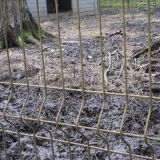 Гостиница Юрьевское подворье, фото гостя