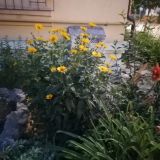 Like Hostel Рязань, фото гостя