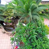 Гостевой дом Guest House Unona Family, фото гостя