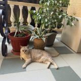 Гостевой дом Ной +, фото гостя