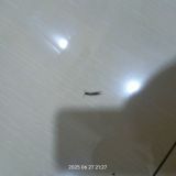 Гостевой дом Диадема Шереметьево, фото гостя