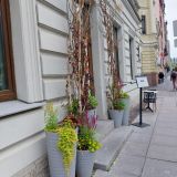 Гостиница Мой Питер, фото гостя