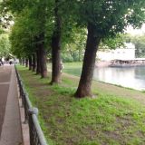 Центральная Россия, фото отдыхающего в июне