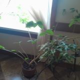 Отель Печоры-Парк, фото гостя