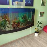 Отель ЯРанга, фото гостя