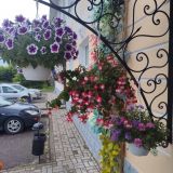 Отель ЯРанга, фото гостя