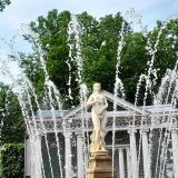 Финский залив, фото отдыхающего в июне