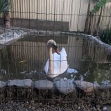 Гостевой дом Александра, фото гостя