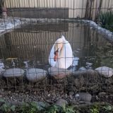 Гостевой дом Александра, фото гостя