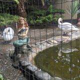 Гостевой дом Александра, фото гостя