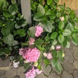 Гостевой дом Александра, фото гостя