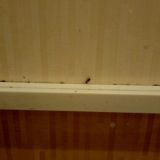 Гостевой дом Капитал Эконом, фото гостя