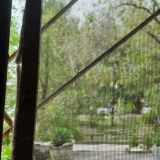 Гостиница Каштан, фото гостя