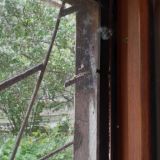 Гостиница Каштан, фото гостя