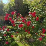 Отель ПримаВера, фото гостя