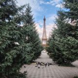 Сибирь, фото отдыхающего в июне