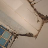 Апарт-отель Гости Любят на Звенигородской, фото гостя