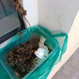 Отель Ростов, фото гостя