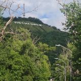 Пятигорск, фото отдыхающего в июле