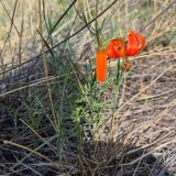 База отдыха Дача БайкалЭко, фото гостя