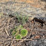 База отдыха Дача БайкалЭко, фото гостя