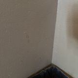 Гостиница Amigo, фото гостя