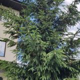Гостевой дом Лауренция, фото гостя