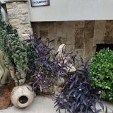 Отель Дубай, фото гостя