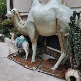 Отель Дубай, фото гостя