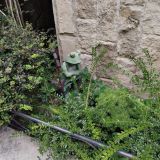 Отель Дубай, фото гостя