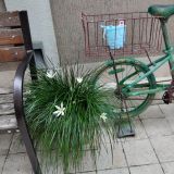 Отель Дубай, фото гостя