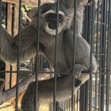 Отель Ялта Интурист, фото гостя