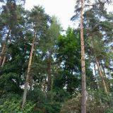 Гостевой дом На Королева, фото гостя