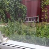 Круиз Румянцево, фото гостя