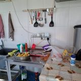 Гостевой дом Эдельвейс на Троицкой, фото гостя