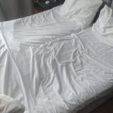 Апарт-отель Avenue-Apart на Муринском проспекте, фото гостя