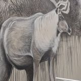 Хостел Good Night, фото гостя