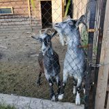 Гостиничный комплекс Усадьба, фото гостя