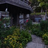 Гостевой дом Арт-деревня Витланд, фото гостя