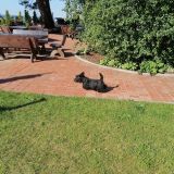 База отдыха Хеваа, фото гостя